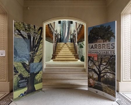 Exposition : A.R.B.R.E.S.