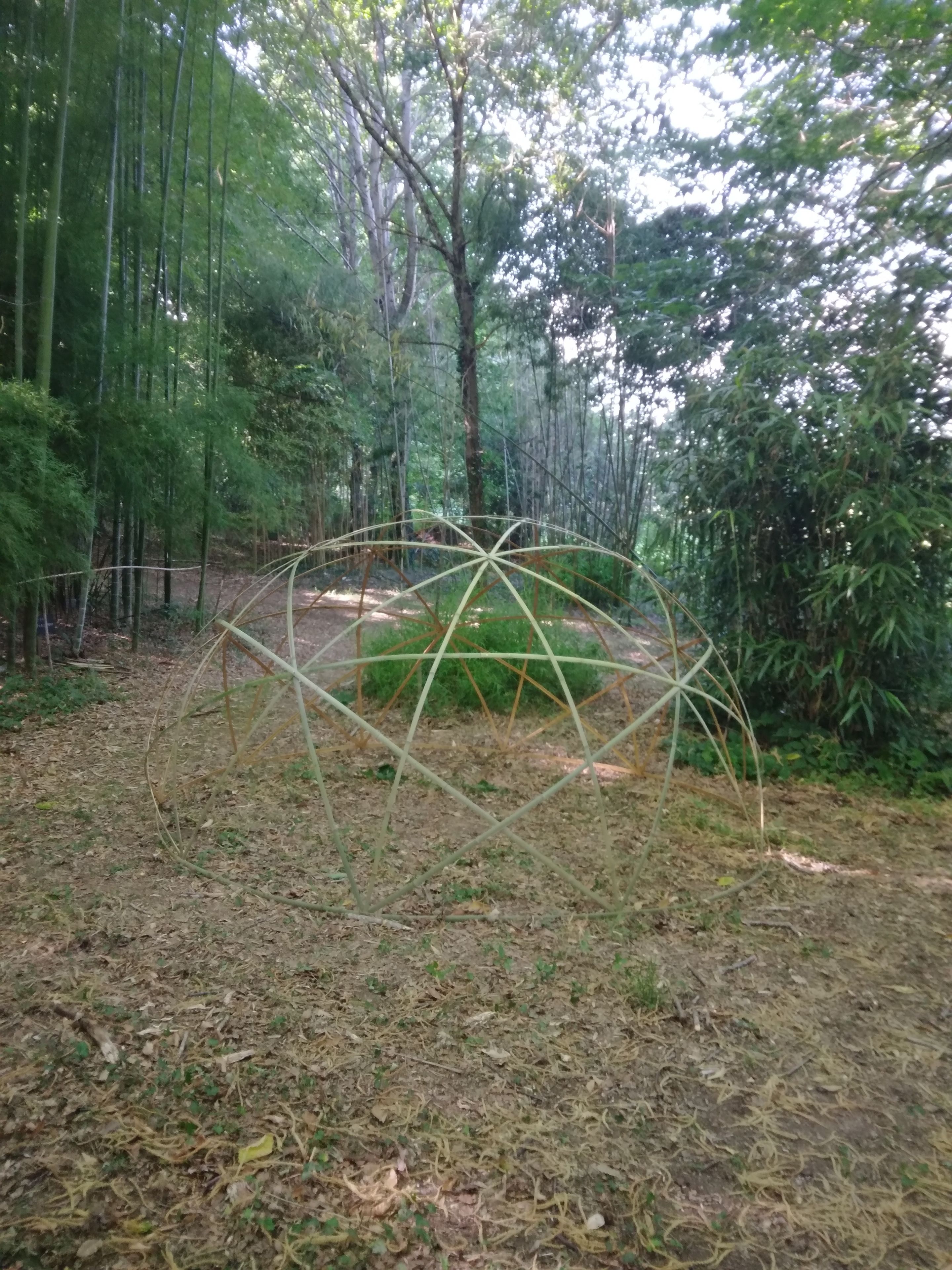 Visite de l'arboretum