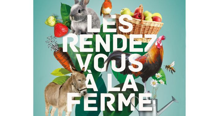 Dimanche 1 juin : Le potager et ses pollinisateurs