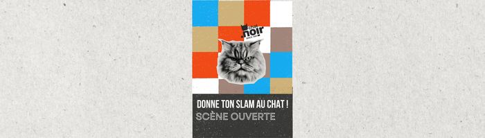 DONNE TON SLAM AU CHAT !
