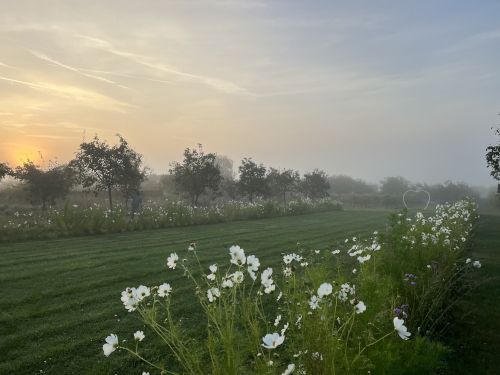 Promenade aux Jardins