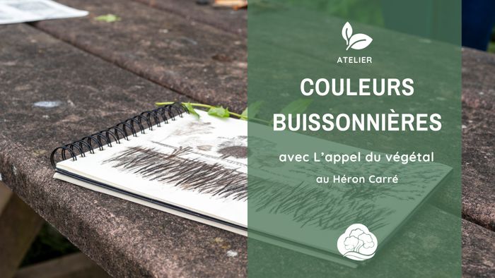 Couleurs buissonnières