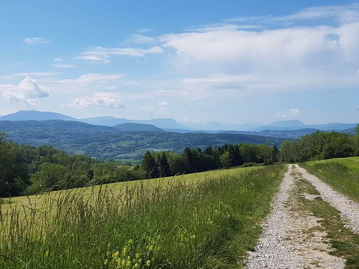 Balade à la découverte des plantes sauvages - panoramas et trésors sauvages à Charly d'Andilly (3h30)