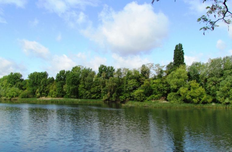 Découverte de l'Observatoire de la Réserve Naturelle Régionale du Bassin de la Bièvre