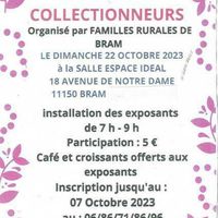 Salon des collectionneurs
