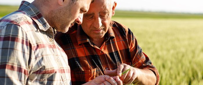 Retraite et transmission de son exploitation agricole