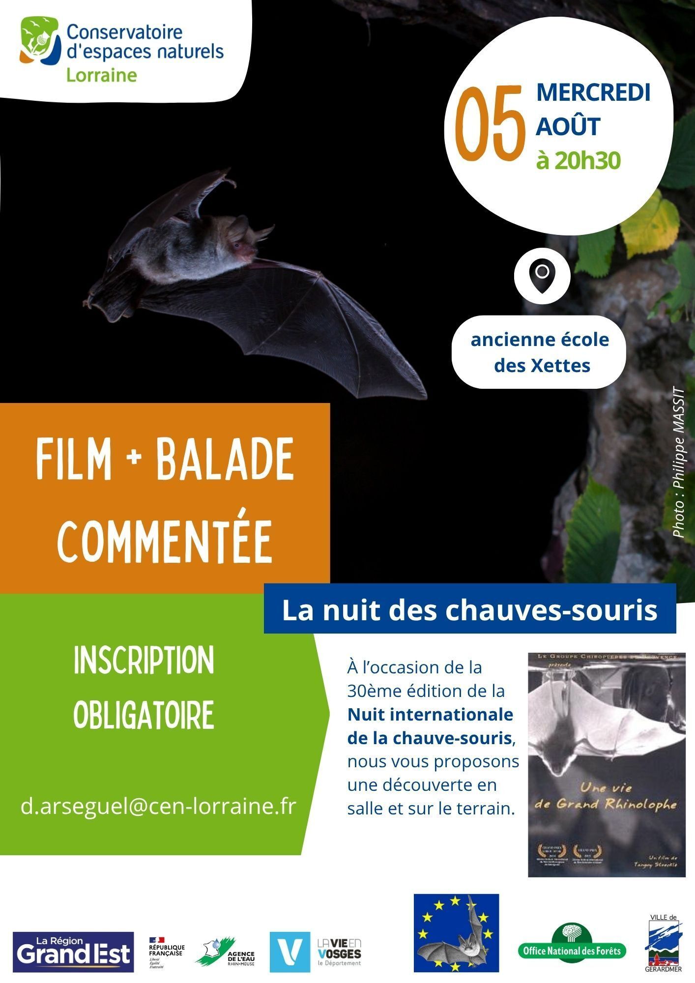 La nuit des chauves-souris