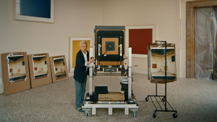 Les collections photographiques françaises: Atelier Polaroid 20 x 24
