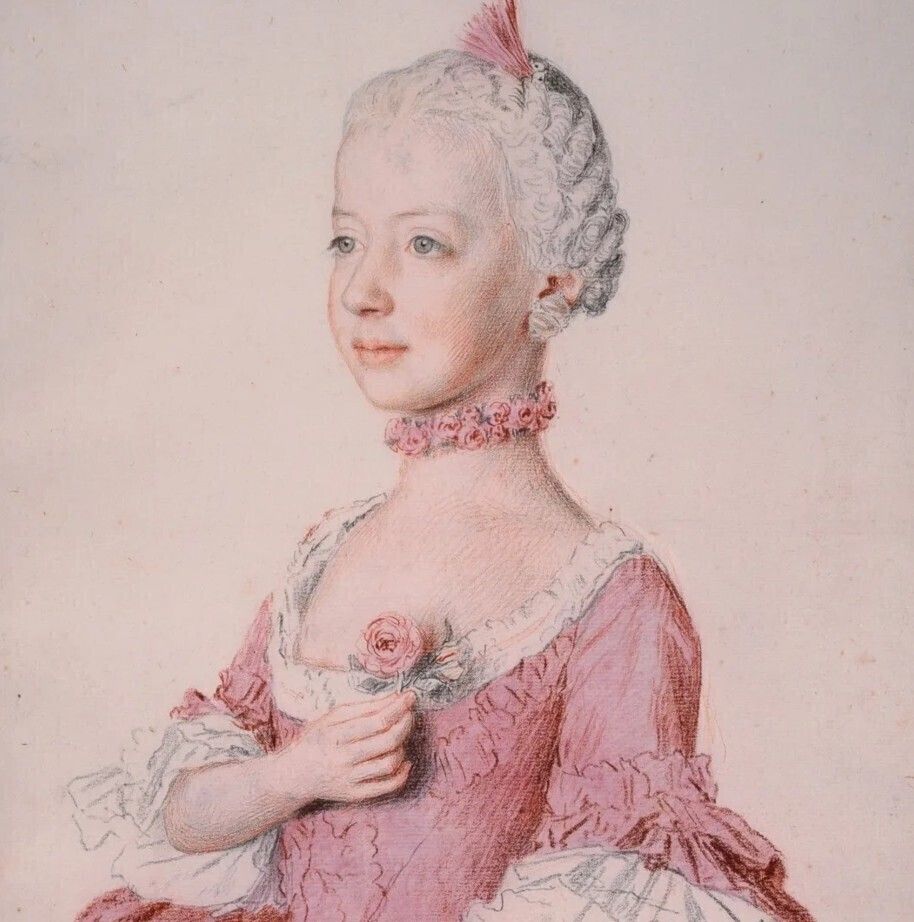 Liotard et Marie-Antoinette. Visages sous enquête