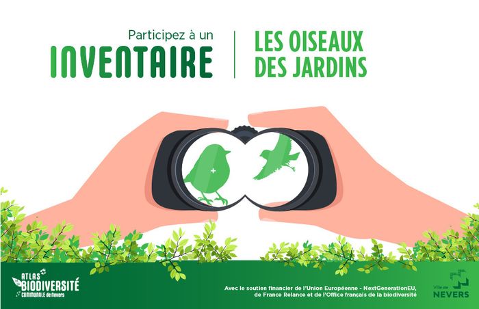 Inventaire participatif des oiseaux des jardins