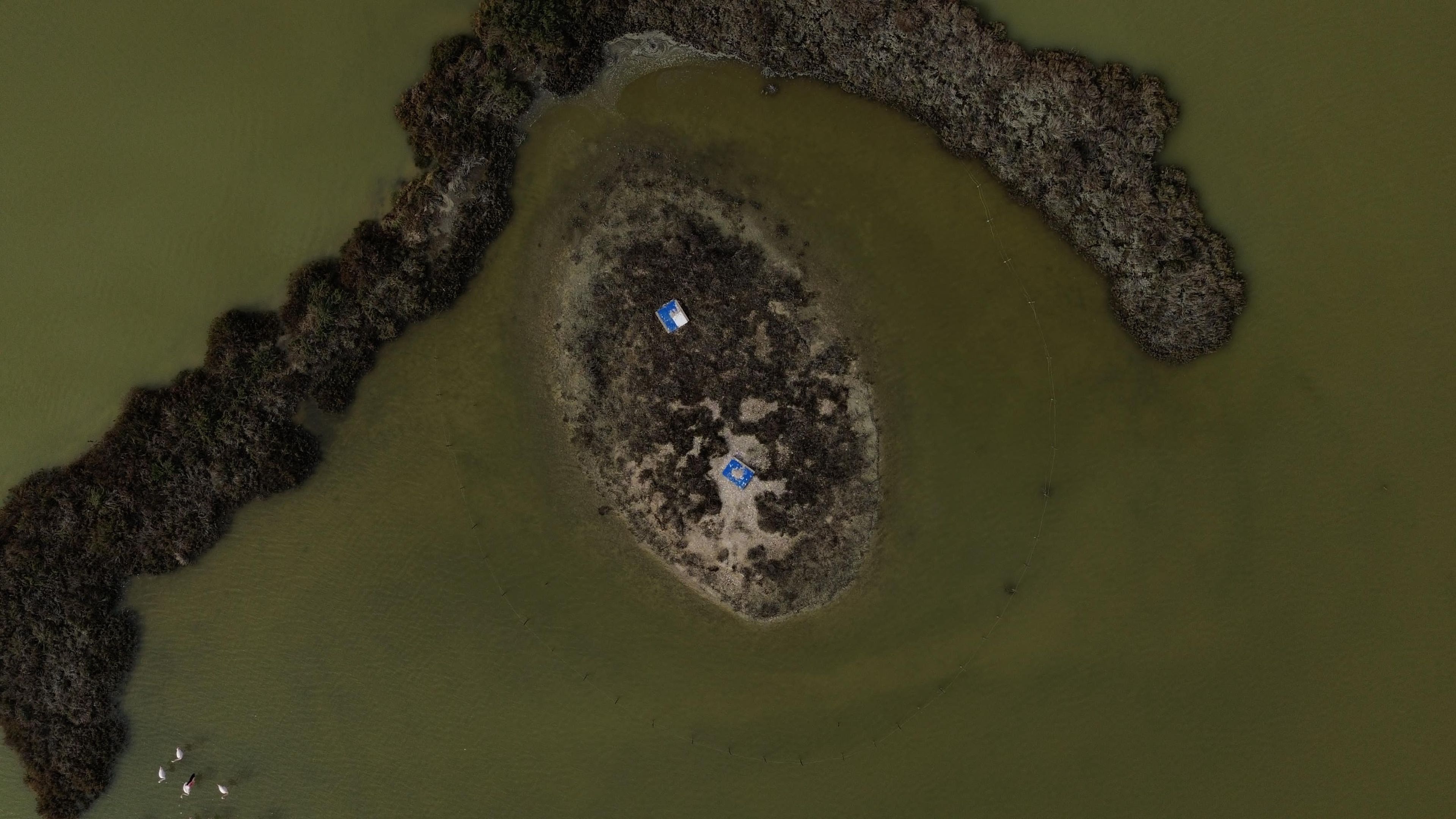 Visite du site naturel protégé des Salines de Villeneuve