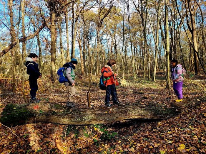 "Mercredi j'ai forêt !" à Saint-Germain-en-Laye