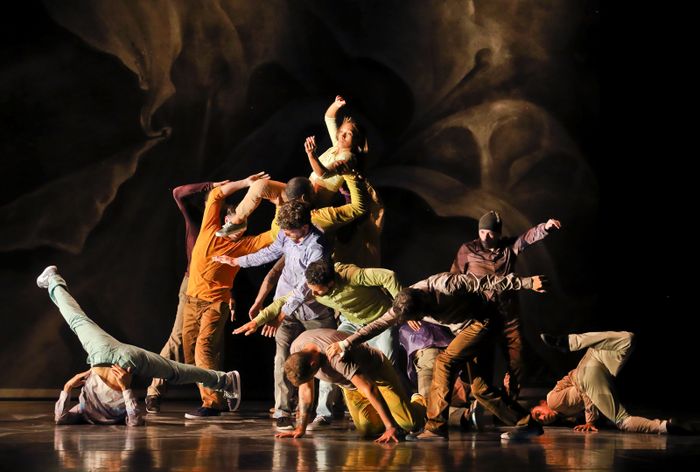 Festival de danse contemporaine de Ramallah