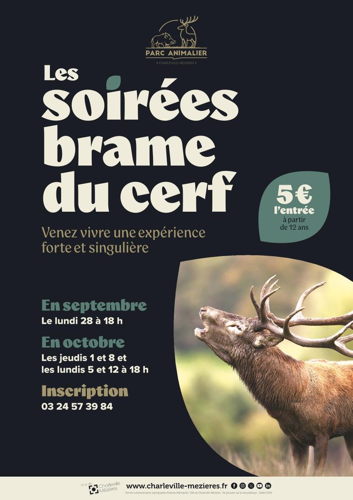 Soirée brame du cerf