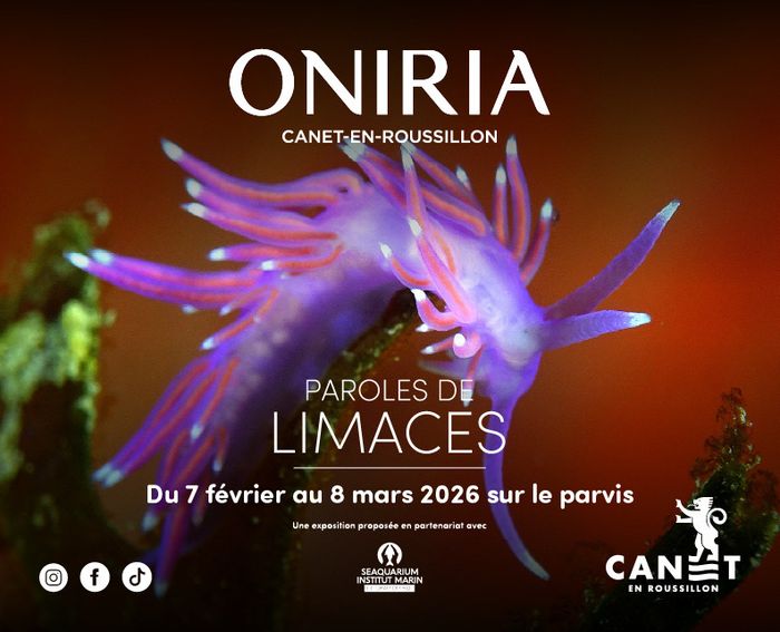 Exposition XXL "Paroles de limaces"