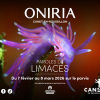 Exposition XXL "Paroles de limaces"