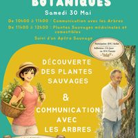 Balades botaniques