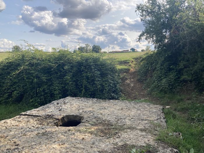 Visite de l'étang des moines de Saint-Hippolyte