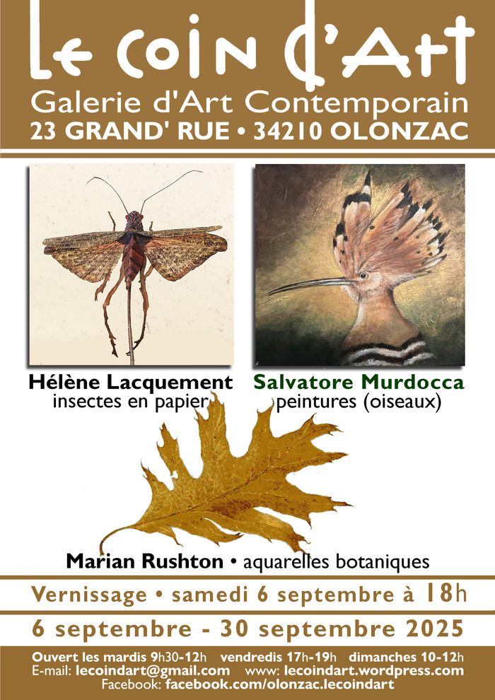 Expo d'insectes en papier, peintures & aquarelles botanique
