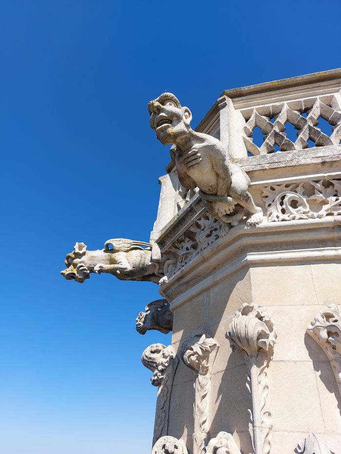 Visite guidée : Tour de la Cathédrale