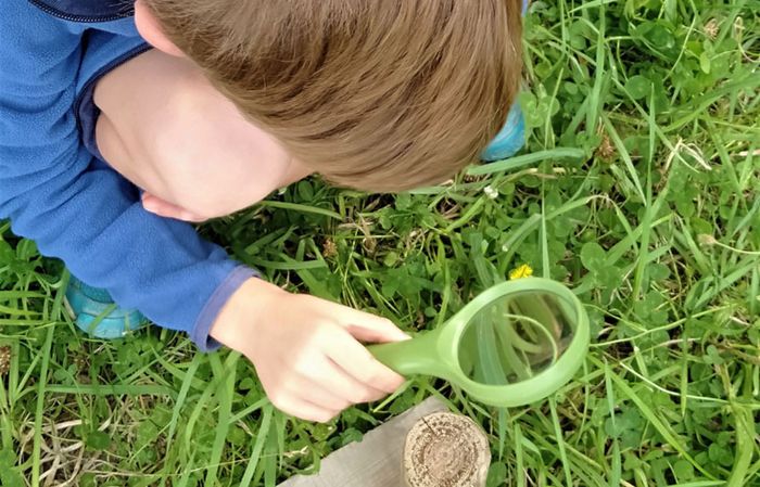 Fête de la Nature - Traces et indices d'animaux
