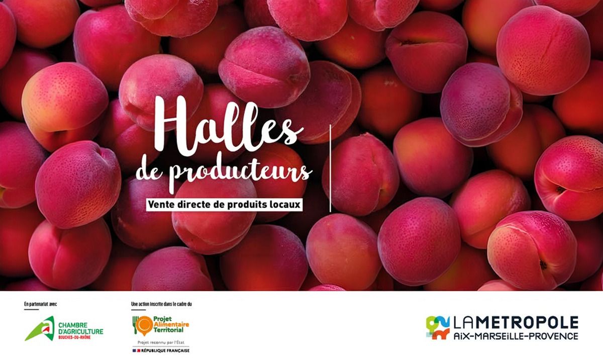 13 - Halle Plan de Campagne