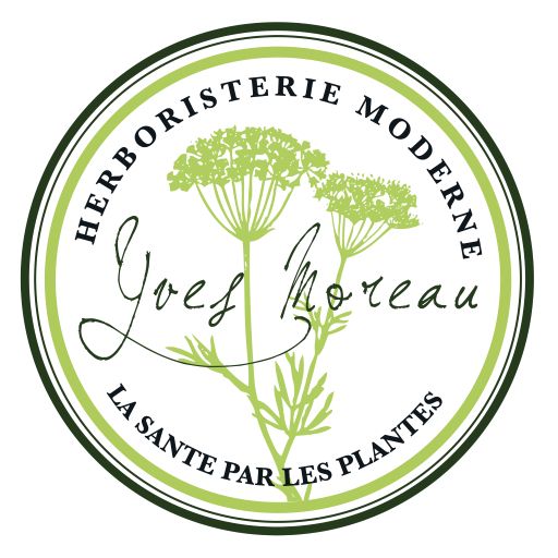 Sortie botanique avec l'herboristerie