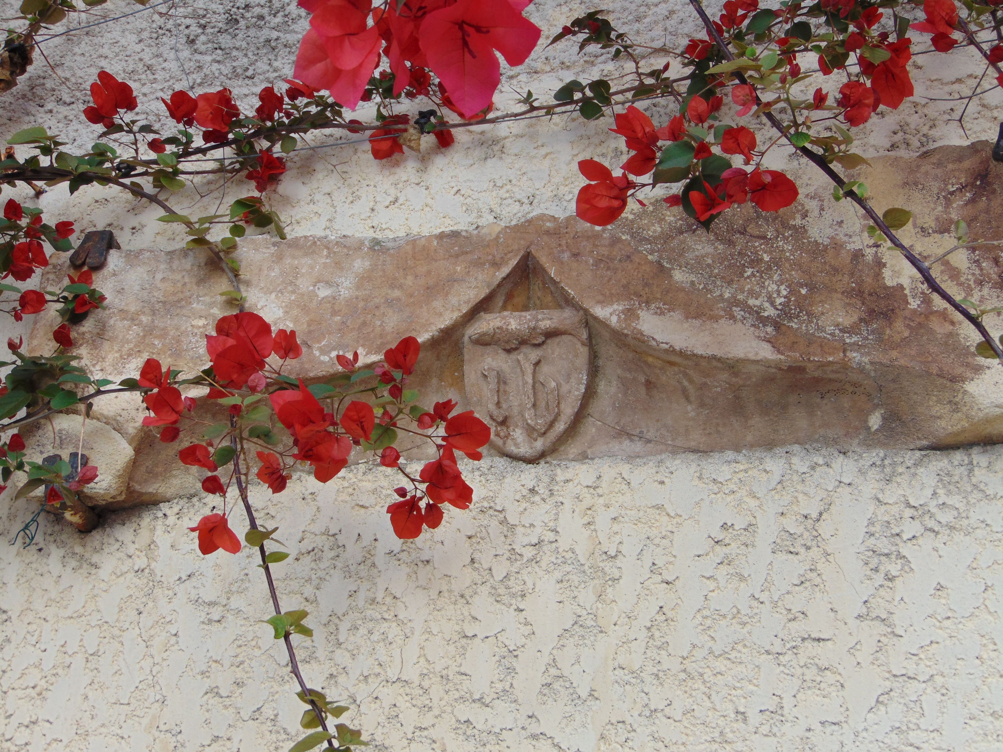 Sigean, au fil des façades