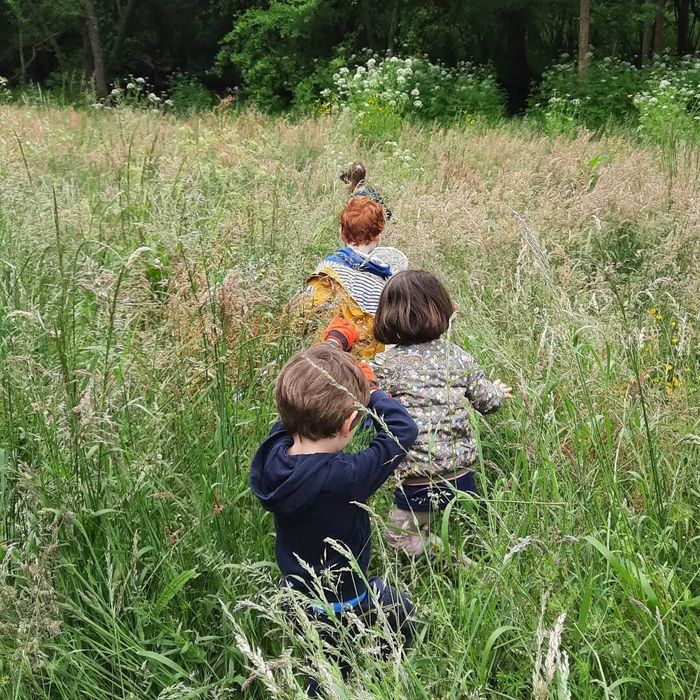 Sortie nature : petites bêtes des herbes et buissons