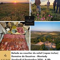Soirée au coucher du soleil - Domaine de Soustres