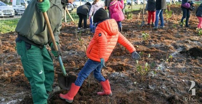 Plantation participative au Square Richard