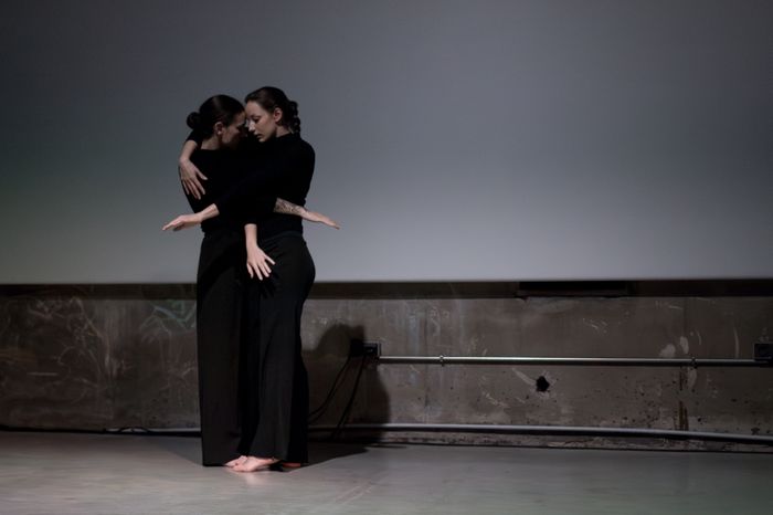 Spectacle de l'avenue / Cie les écorchés
