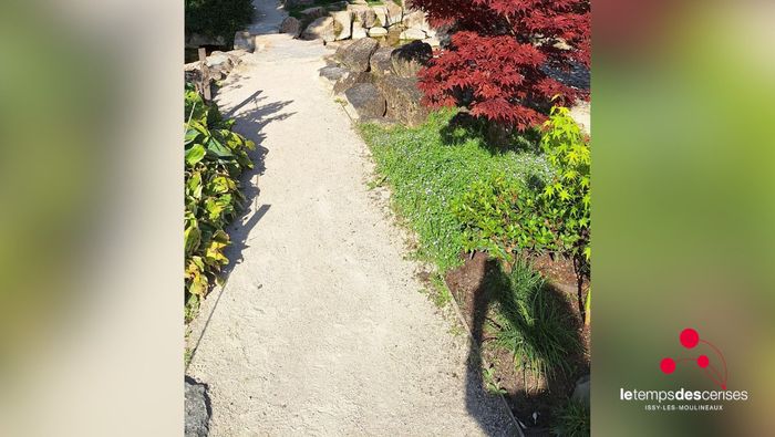 Participez en famille à notre atelier de photographie sur le thème du jardin japonais