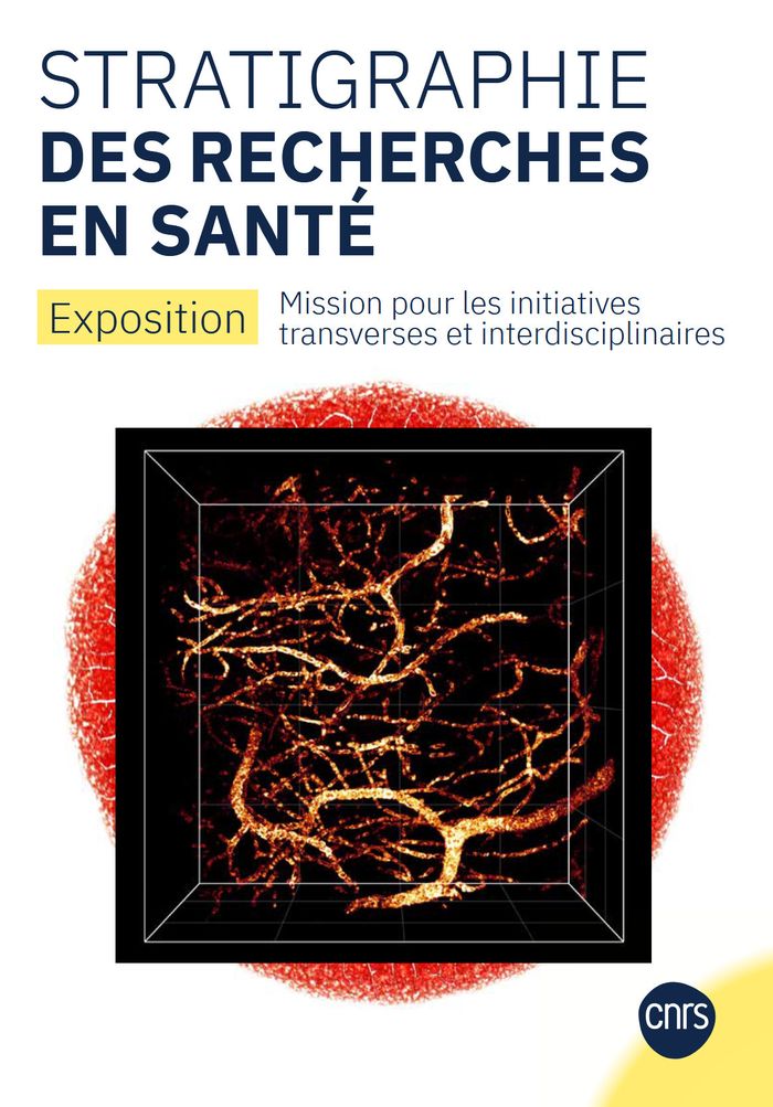 Quels imaginaires avons-nous des recherches en santé ?