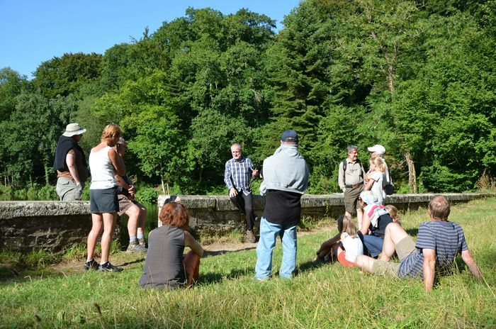 Les étranges histoires de la forêt