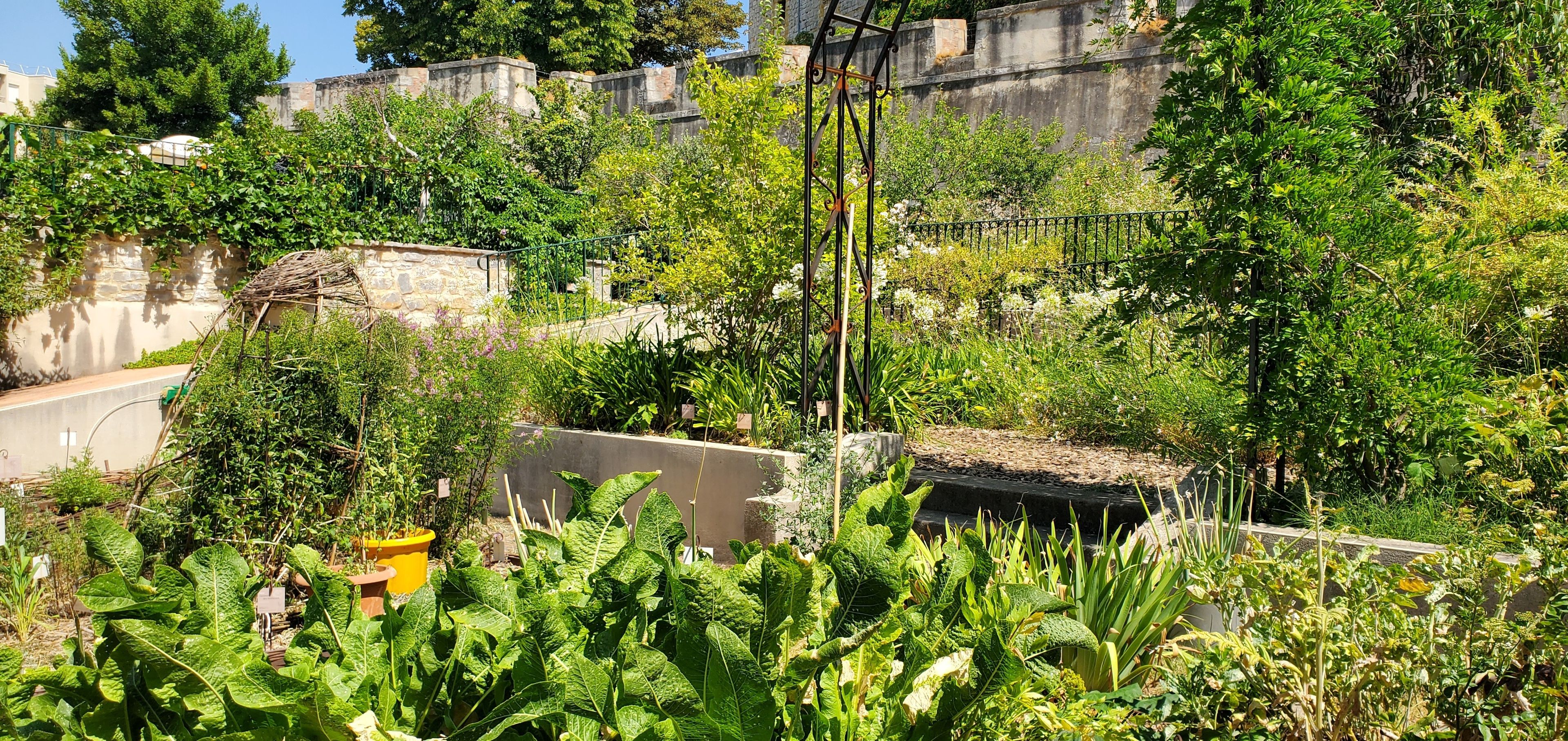 Visite libre du jardin ethnobotanique et d’acclimatation