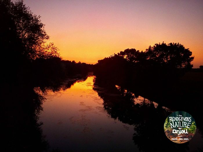 Le crépuscule dans les marais