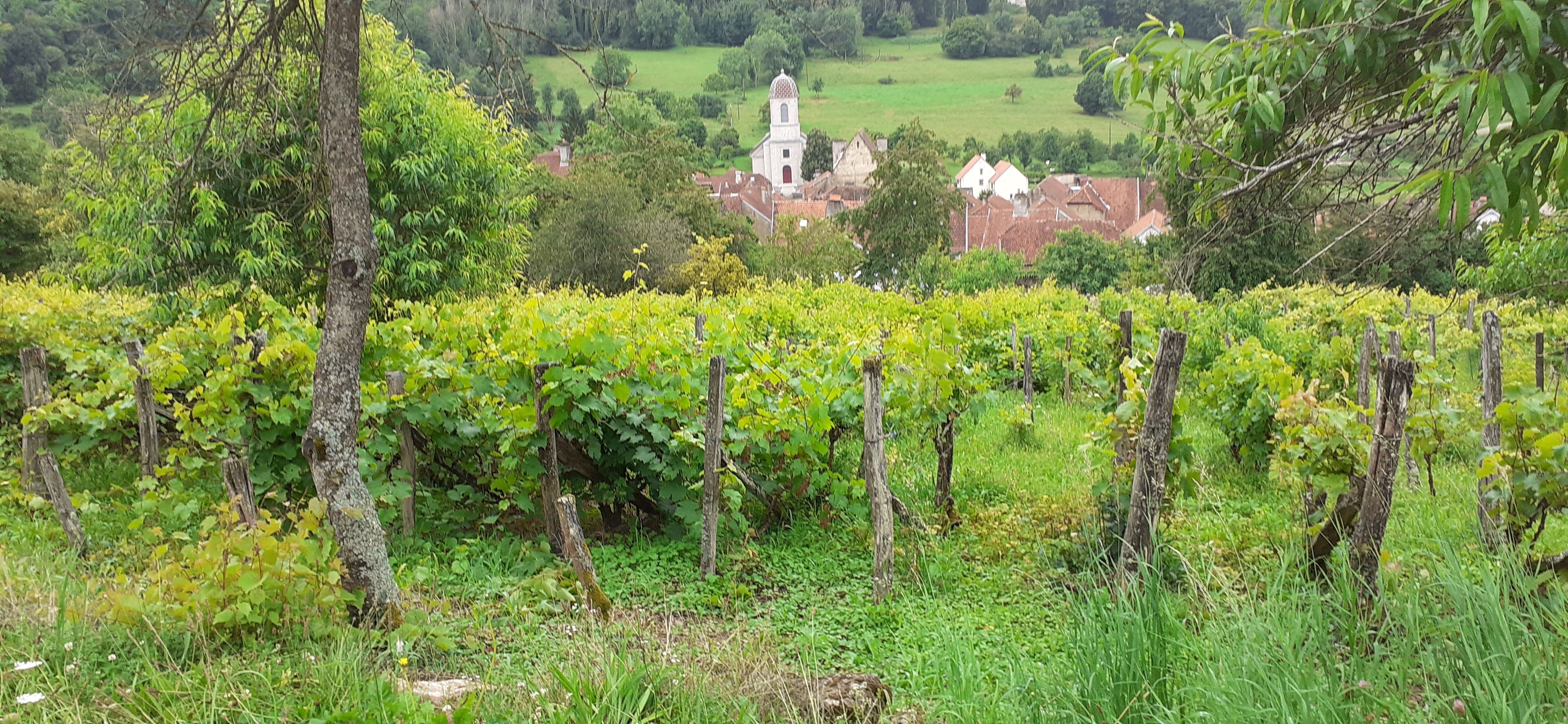Église de l'Assomption, Chariez 70000