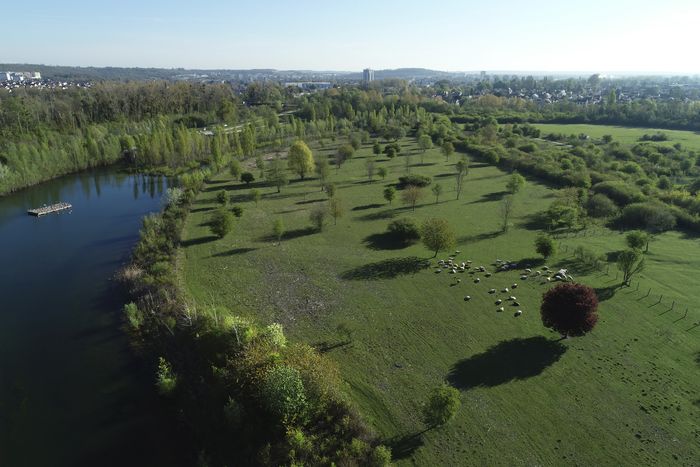 Découvrez la richesse de la biodiversité du parc lors d’une balade guidée à travers ses milieux naturels préservés.
