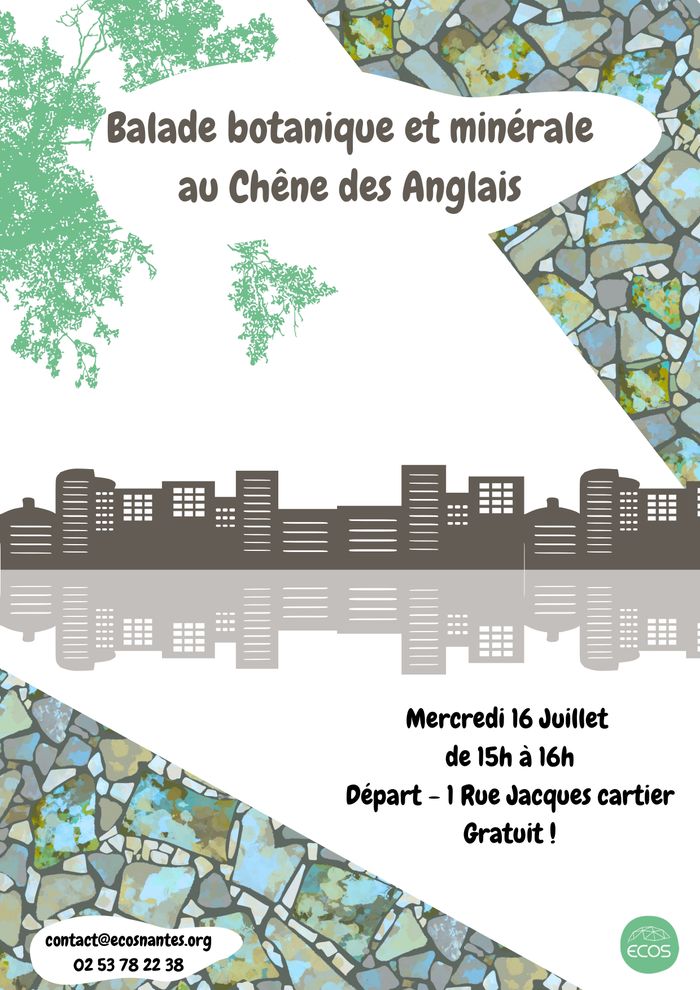 Balade botanique et minérale au Chêne des Anglais