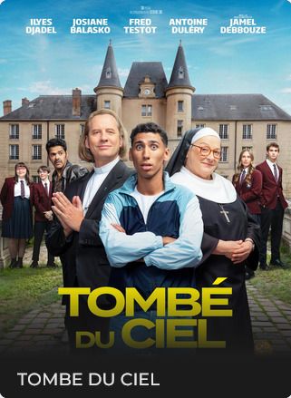 TOMBÉ DU CIEL