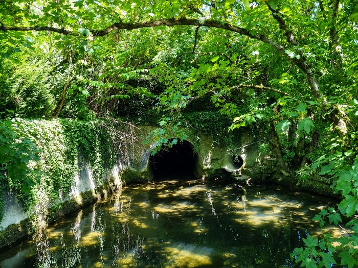 Balade au fil de l'eau