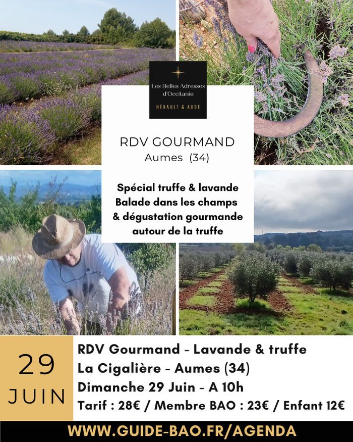 RDV Gourmand lavande et truffes