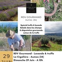 RDV Gourmand lavande et truffes