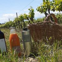 Visite et dégustation au domaine Pagnon