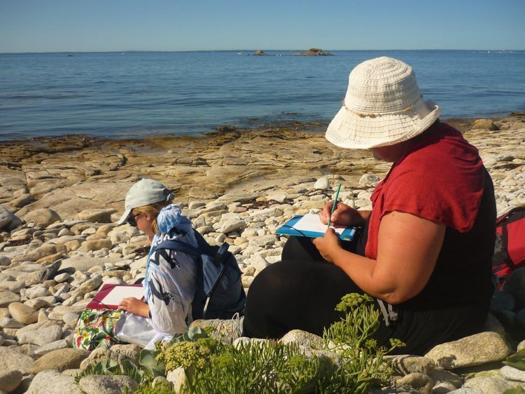Croquons le littoral
