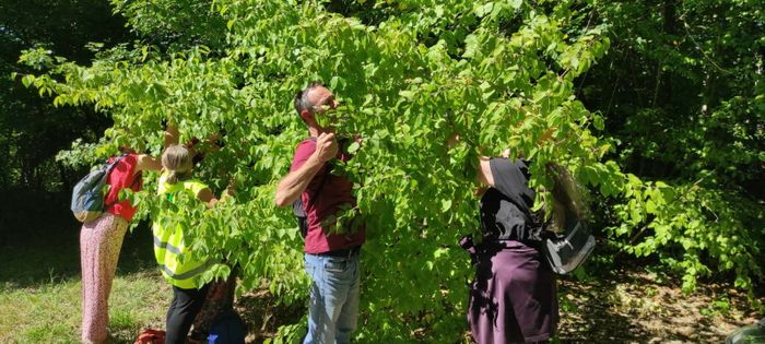 Sortie coorganisée par Île-de-France Nature