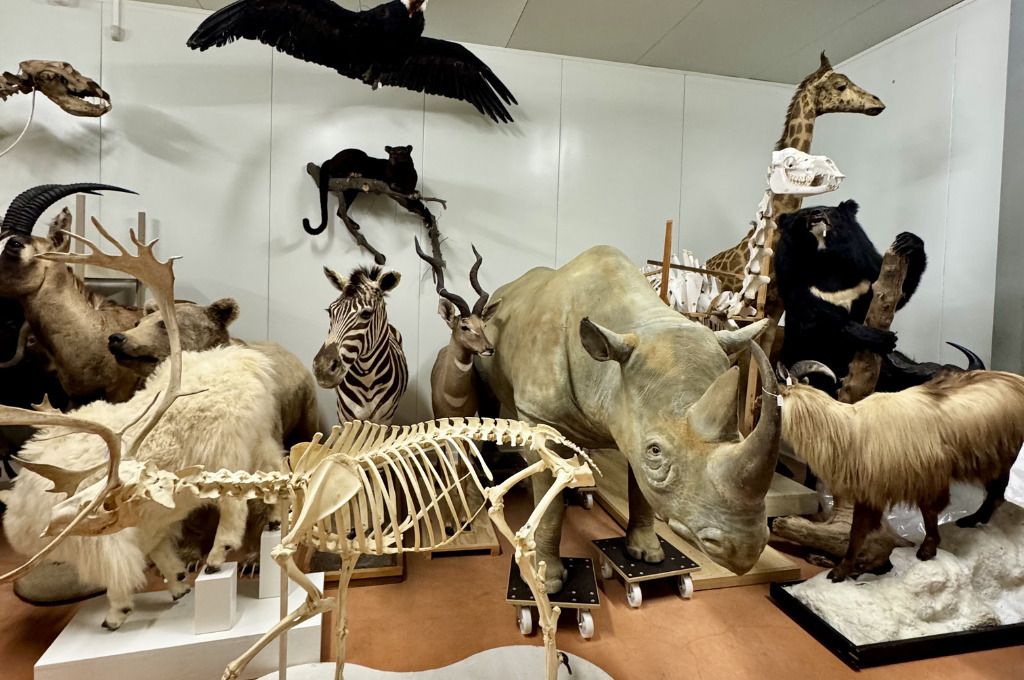 Visite commentée du centre de conservation des collections