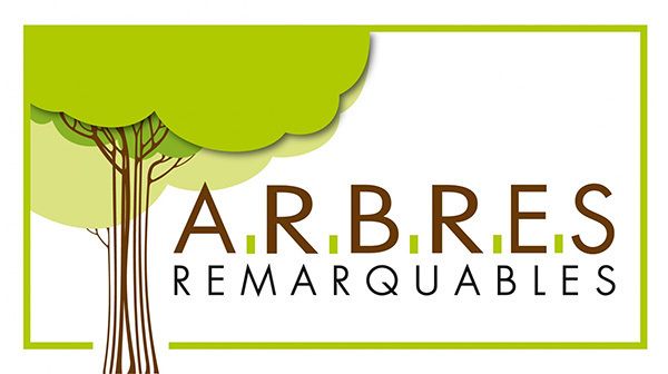 Remise du label "Arbre remarquable"