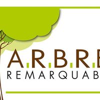Remise du label "Arbre remarquable"